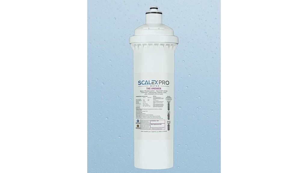 10 inch water filter