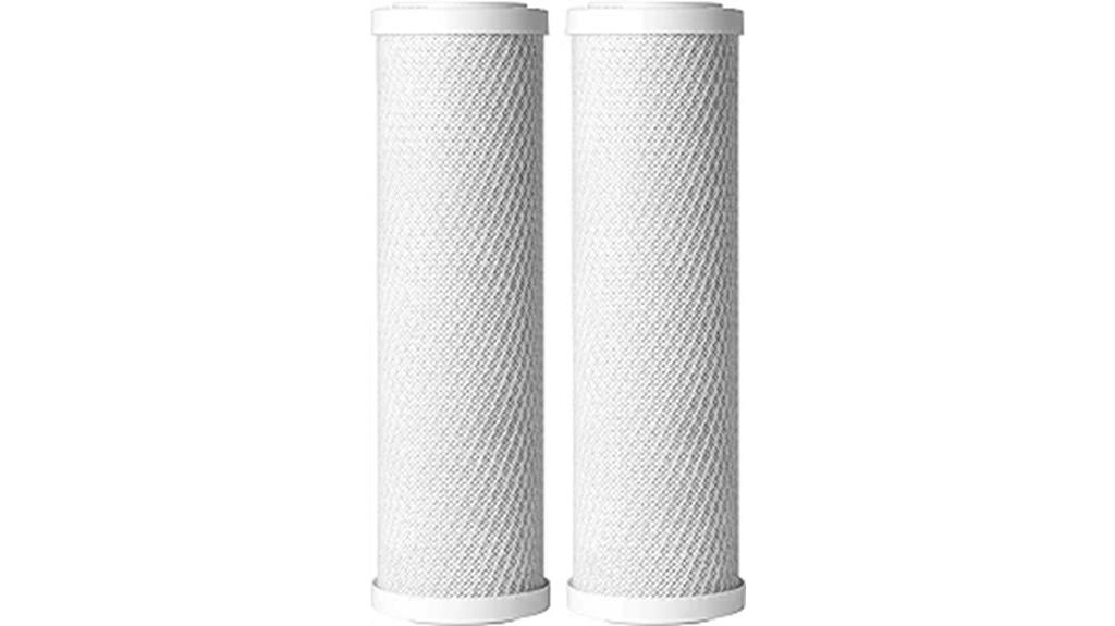 2 5x10 micron carbon filters