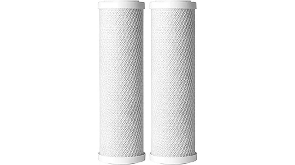 ao smith 2 5x10 micron filter