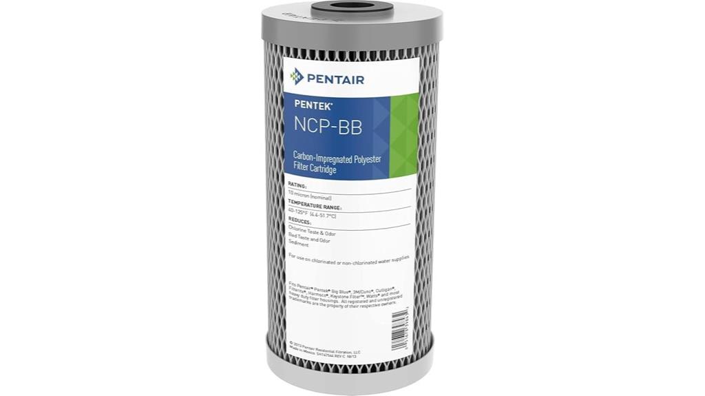 big blue carbon filter