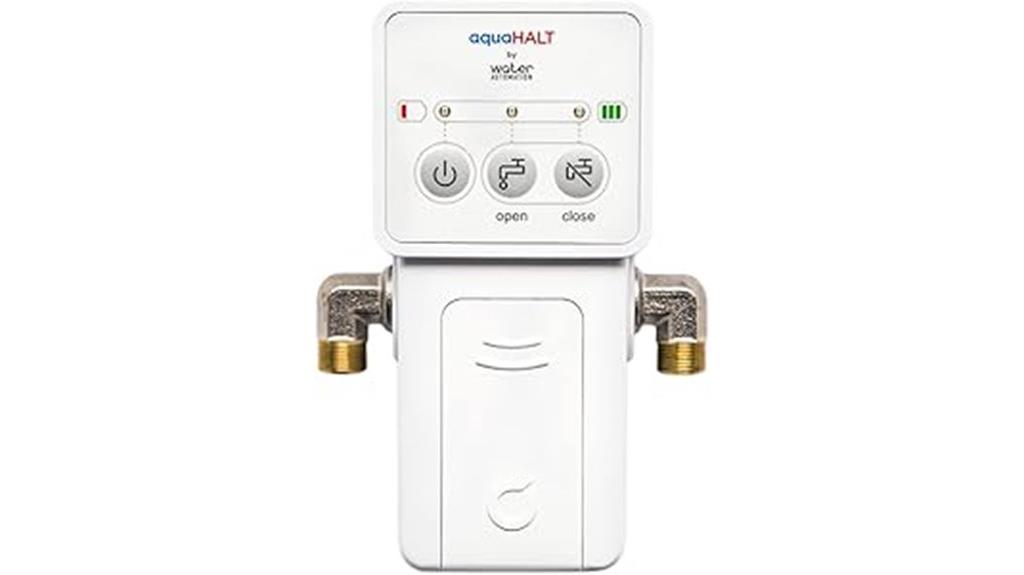 home leak detection system