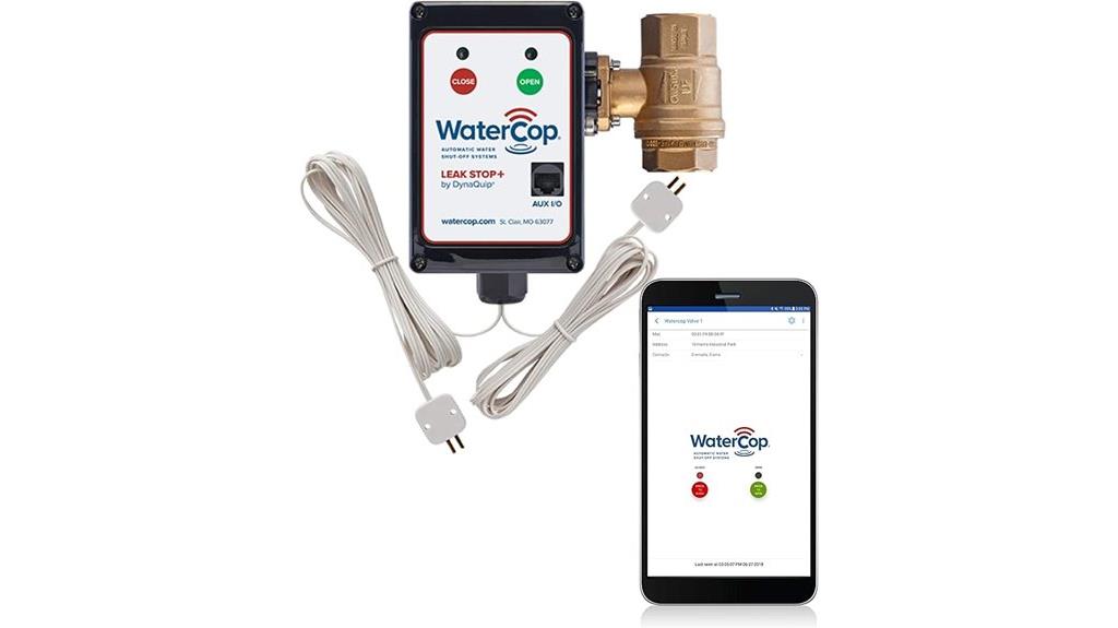 leak stop plus 1 inch