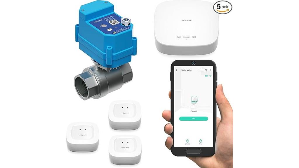 lora water leak system