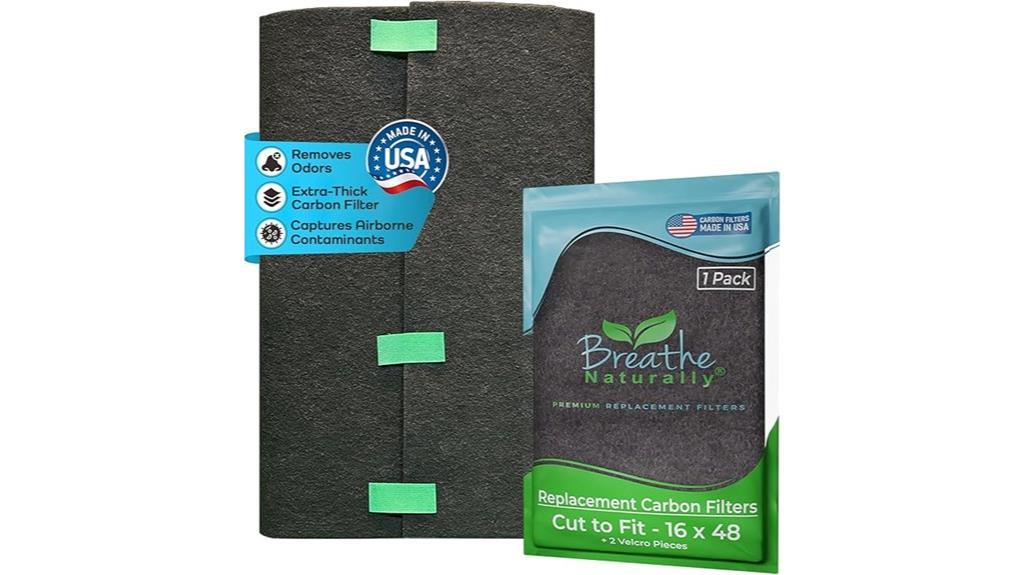 natural carbon air filter