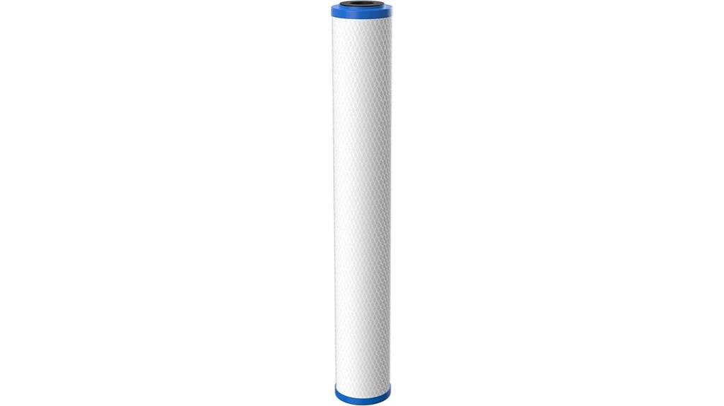 pentair ep 20 carbon filter