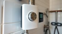 tankless heater scale control