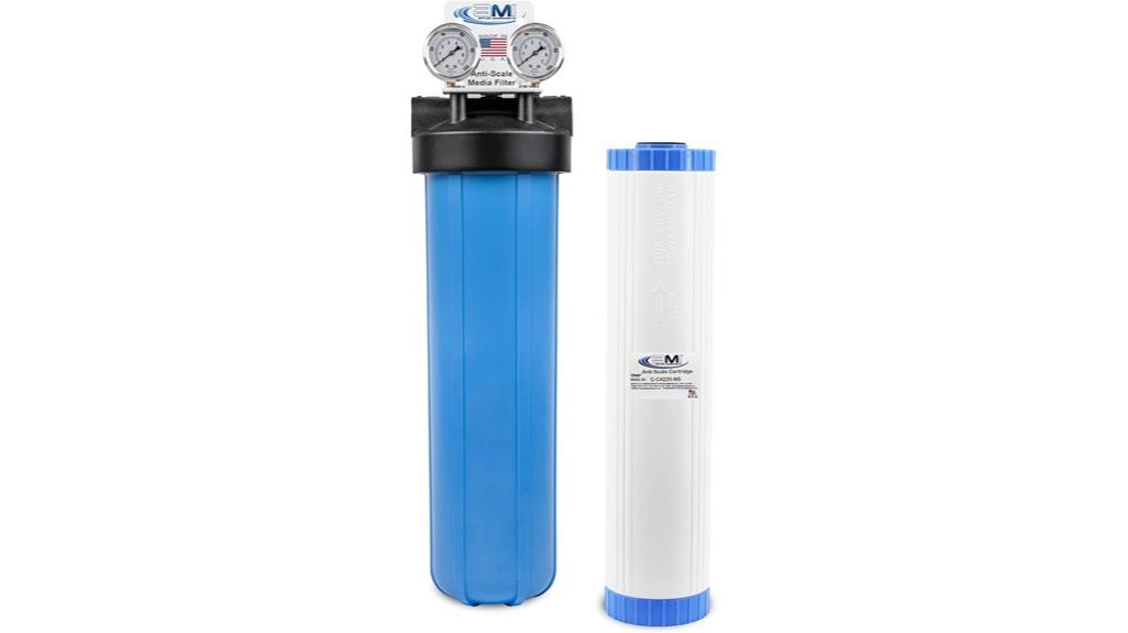 tankless water heater descaler