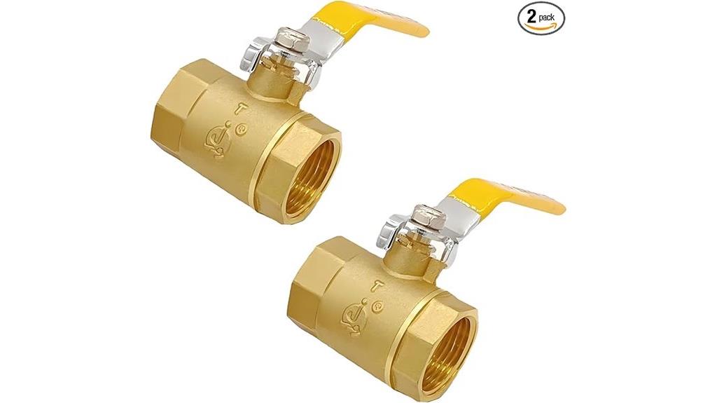 two brass ball valves