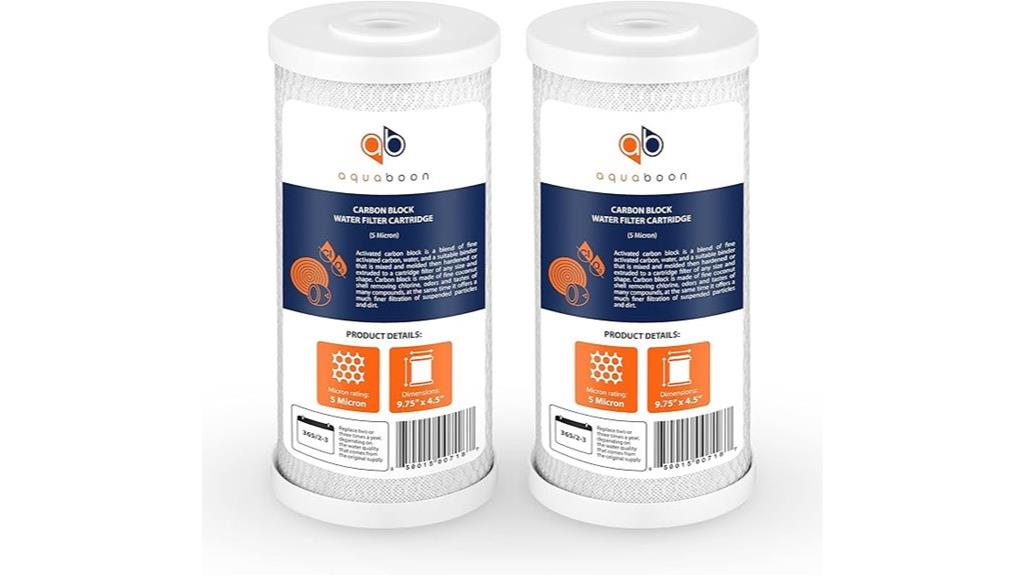two carbon block filters