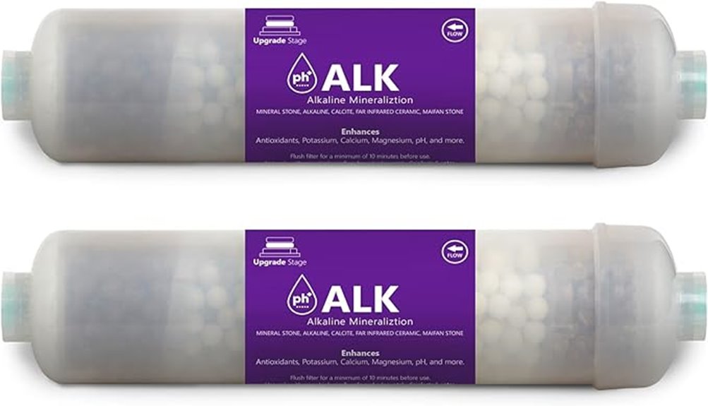 two pack alkaline filter replacements