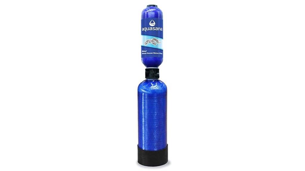 whole house filter replacement