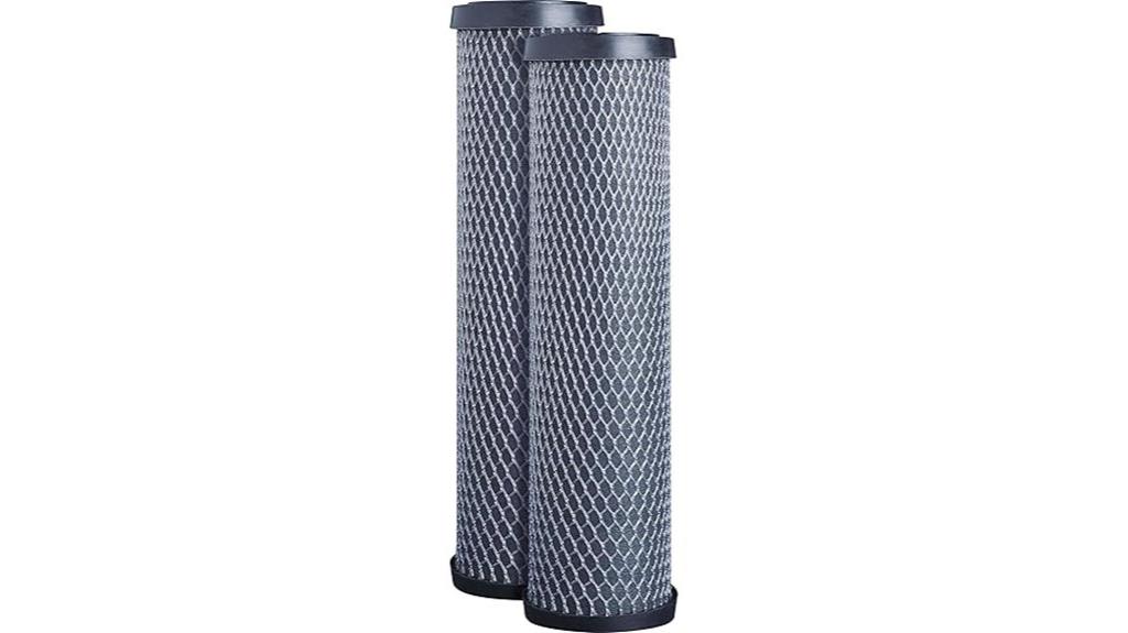 whole house filter replacement