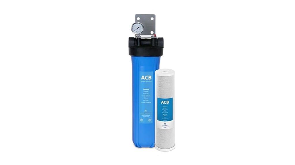 whole house water filter