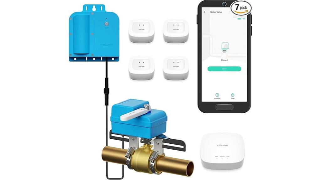 wireless leak detection system
