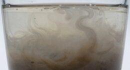 cloudiness signals contamination levels