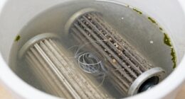 filter rinse failure issues