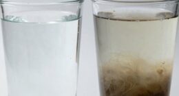 water clarity measurement differences