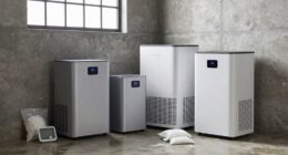 top basement dehumidifiers 2026