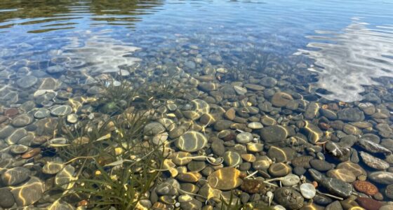 assessing water quality visually