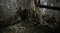 basement moisture causes water issues