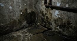 basement moisture causes water issues