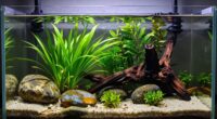 consistent high quality water setups