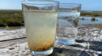 different needs for brackish water