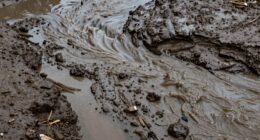 persistent sediment deposition patterns