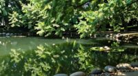 silent water system health