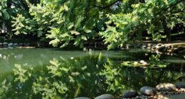 silent water system health