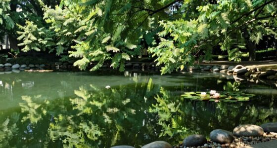 silent water system health