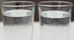 source vs in house water
