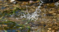 sudden water temperature change