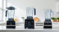 Vitamix 5200 vs Vitamix E310 Explorian: Full Comparison