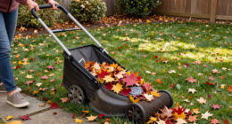 Skip Traditional Rakes: The Tool That Makes Cleaning Up Leaves Faster & Easier